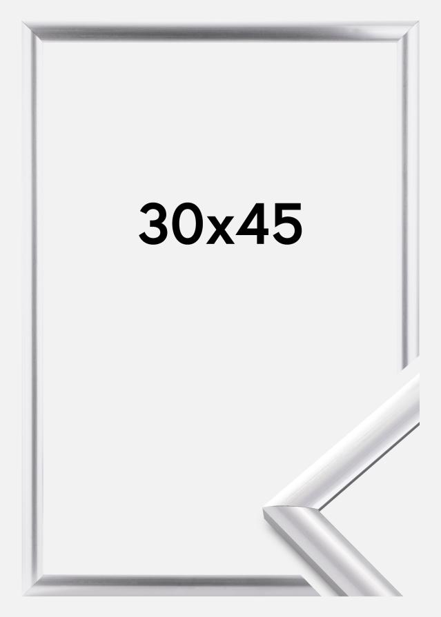 Rāmis Trendstyle Sudrabs 30x45 cm