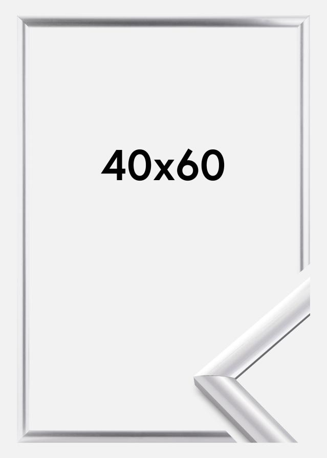 Rāmis Trendstyle Sudrabs 40x60 cm