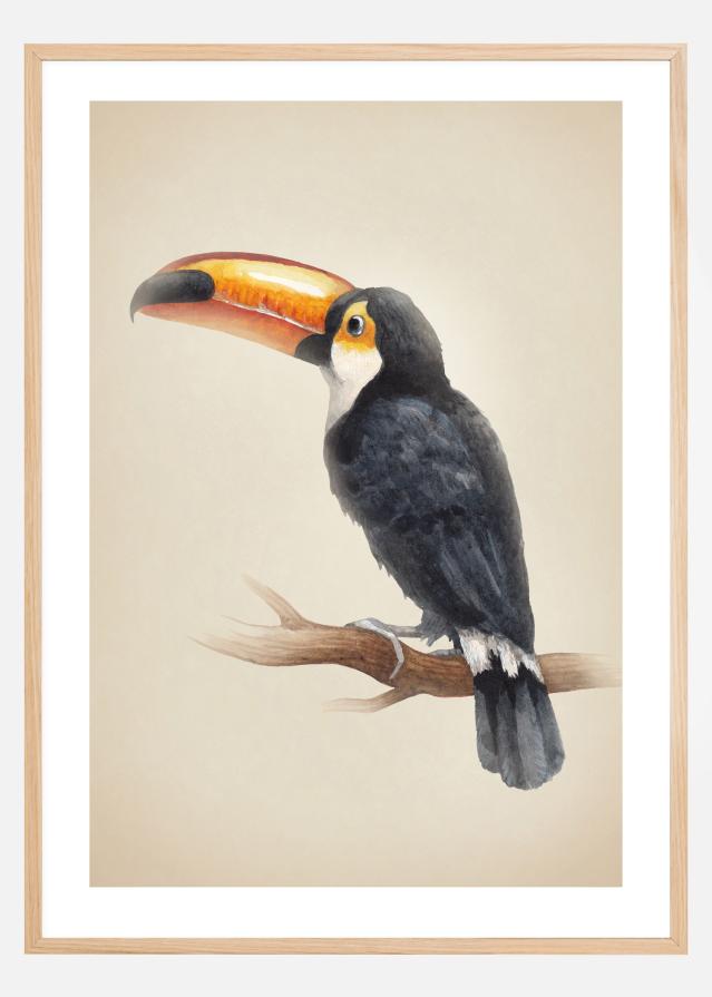 Tropical Toucan Plakāts