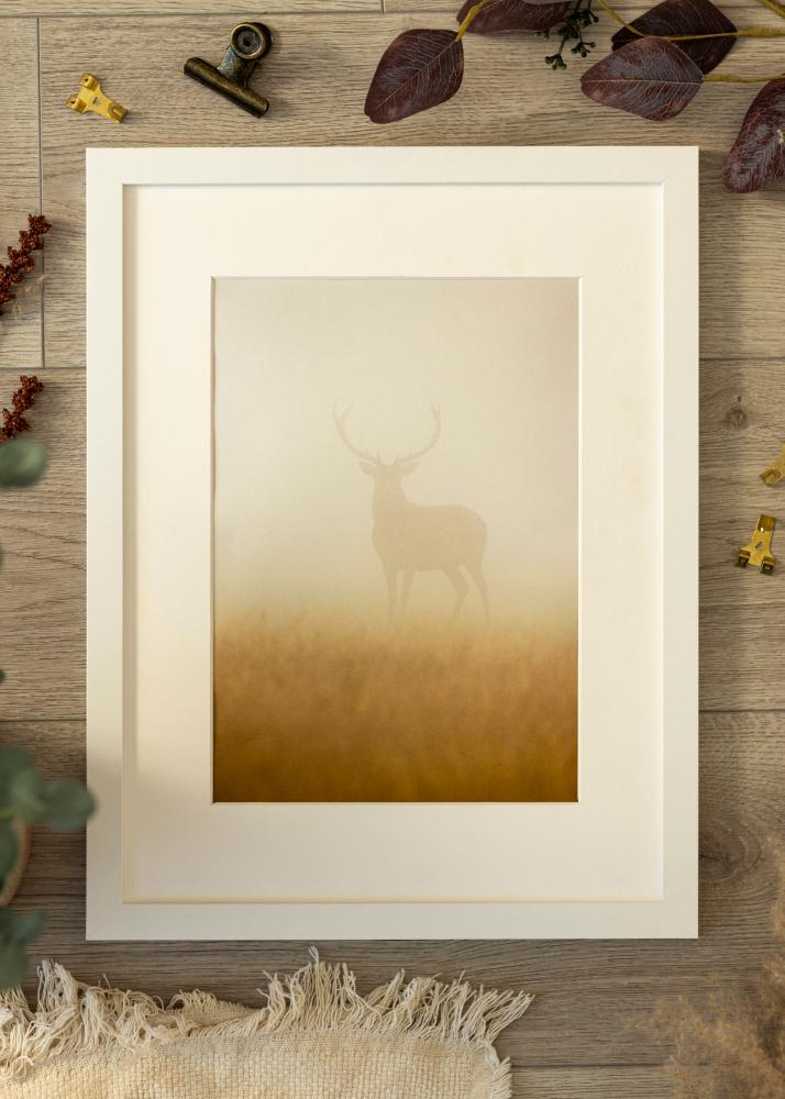 Rāmis BGA Classic Akrila stikls Balts 35x50 cm