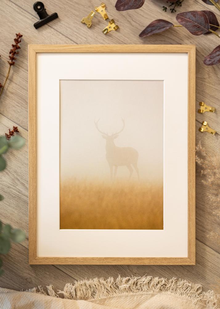 Rāmis Ares Akrila stikls Natural Oak 20x25 cm