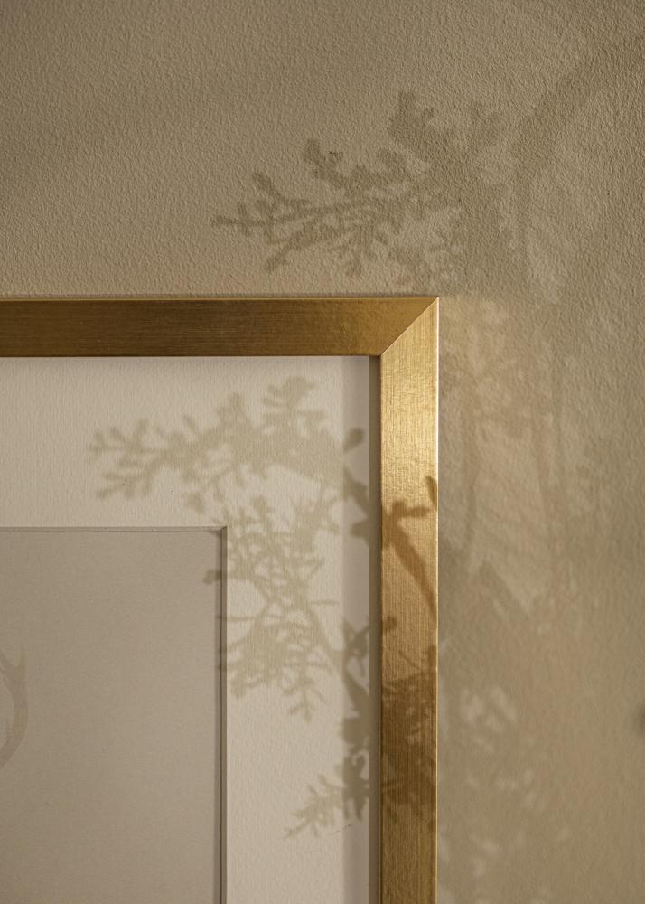 Rāmis Selection Akrila stikls Zelta 60x90 cm