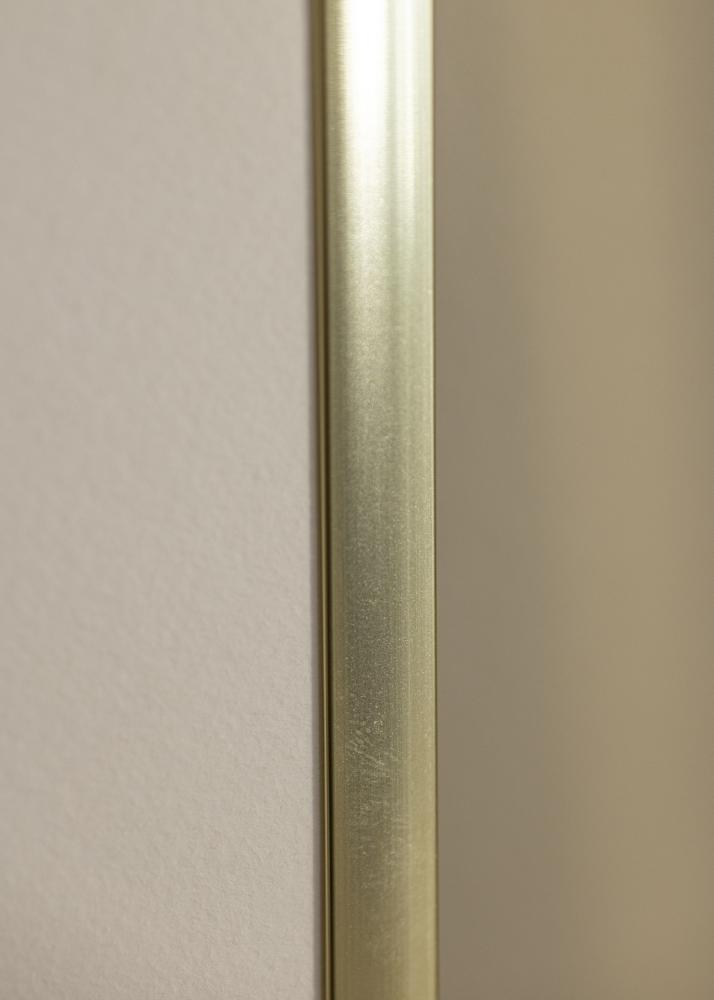 Rāmis Plakāts Frame Aluminum Gold 70x100 cm - Paspartū Balts 60x90 cm
