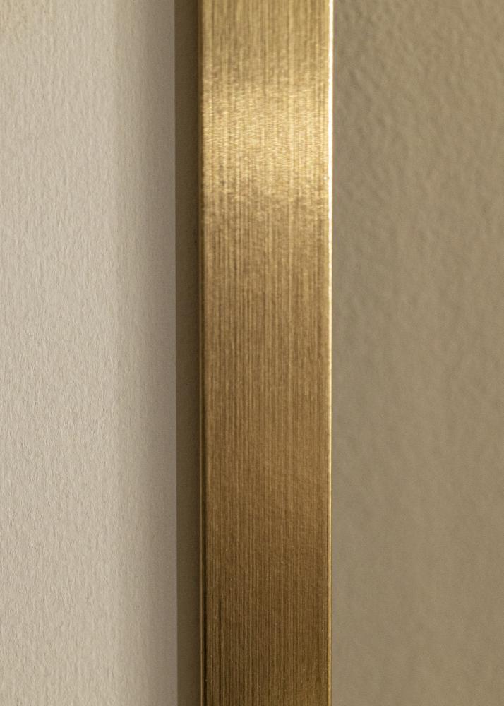 Rāmis Selection Akrila stikls Zelta 60x90 cm