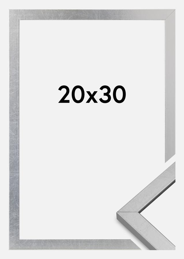 Rāmis Minerva Akrila stikls Sudrabs 20x30 cm