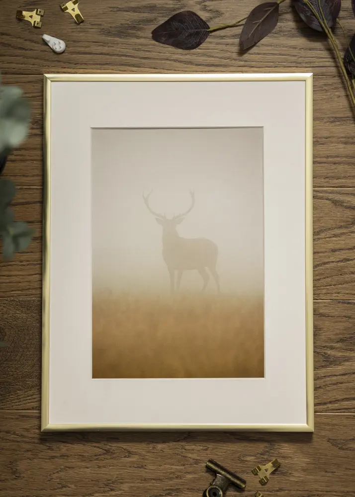 Rāmis Plakāts Frame Aluminum Gold 60x80 cm - Paspartū Balts 50x60 cm