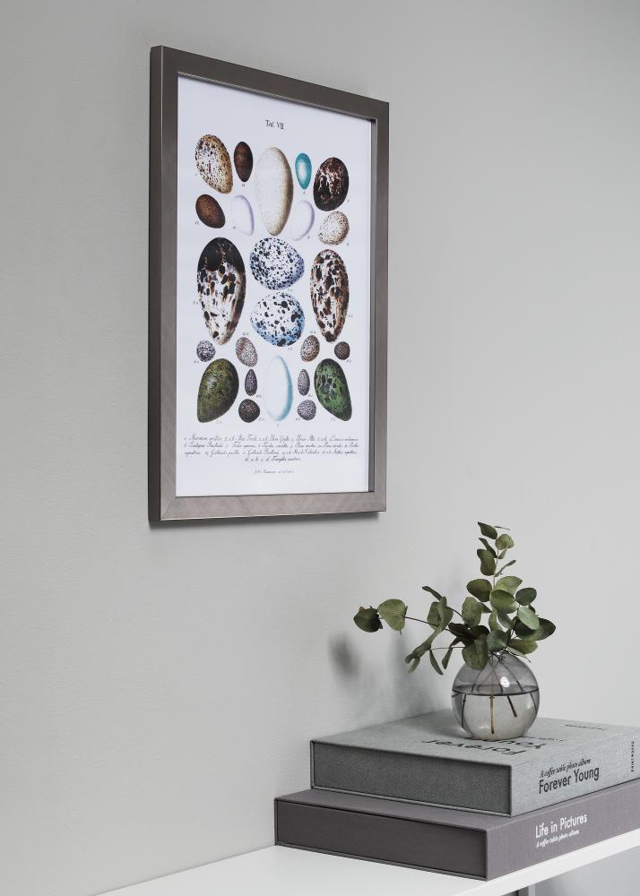 Rāmis Uppsala Sudrabs 28x35 cm