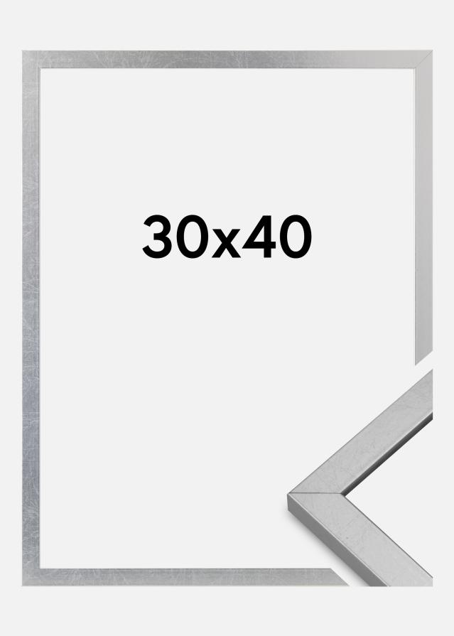 Rāmis Minerva Akrila stikls Sudrabs 30x40 cm