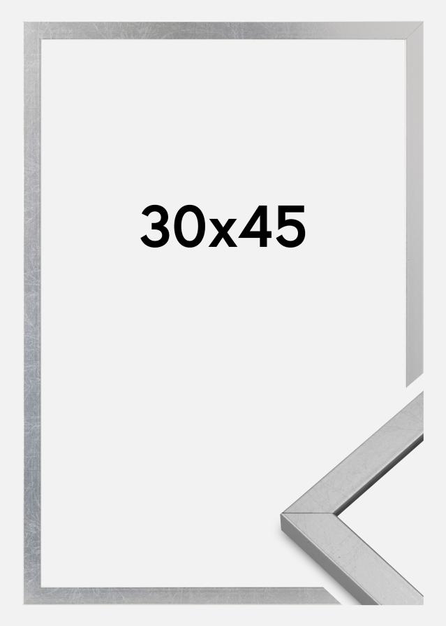 Rāmis Minerva Akrila stikls Sudrabs 30x45 cm