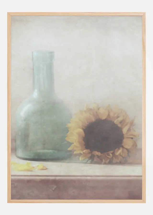 Sunflower Plakāts