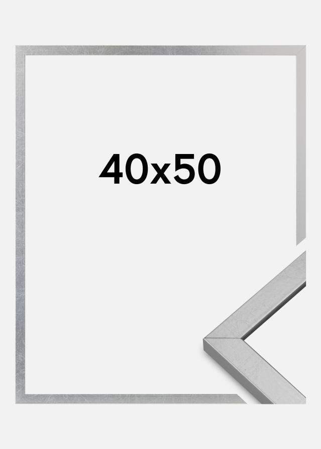 Rāmis Minerva Akrila stikls Sudrabs 40x50 cm