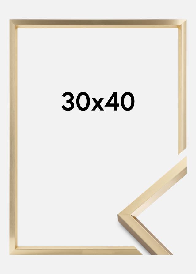 Rāmis Steel Style Zelta 30x40 cm