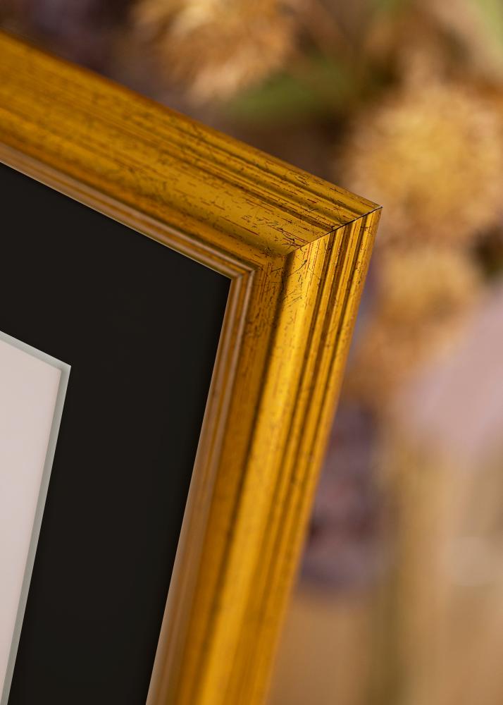 Rāmis Västkusten Zelta 32x45 cm - Paspartū Melns 25x30 cm