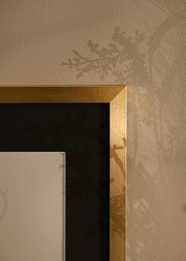 Rāmis Selection Zelta 13x18 cm - Paspartū Melns 9x12 cm