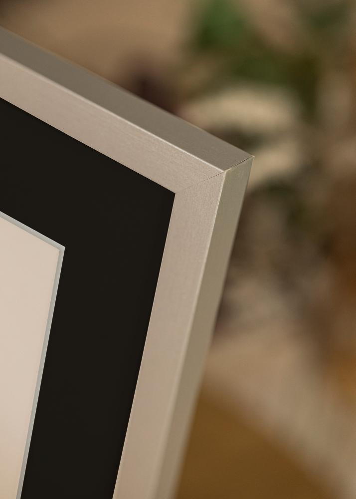 Rāmis Selection Sudrabs 70x100 cm - Paspartū Melns 62x93 cm