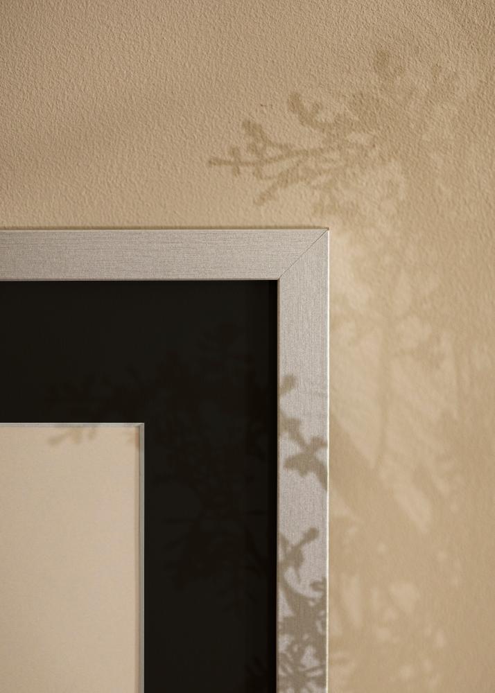 Rāmis Selection Sudrabs 70x100 cm - Paspartū Melns 62x93 cm