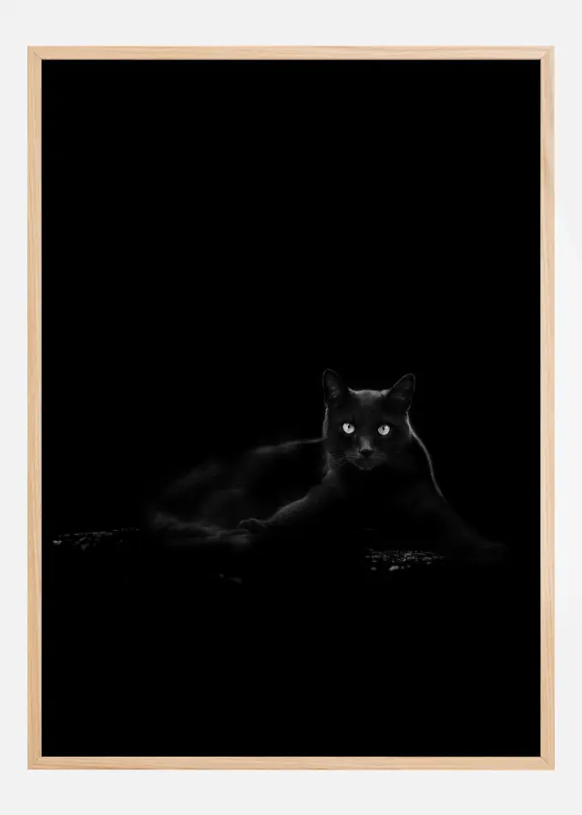 Cat Plakāts