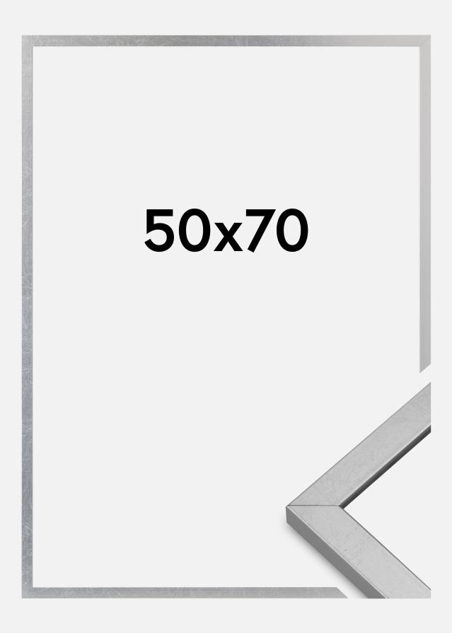 Rāmis Minerva Akrila stikls Sudrabs 50x70 cm
