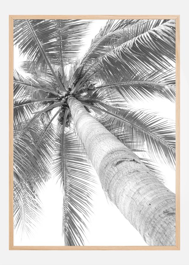 Black and white palmtree Plakāts