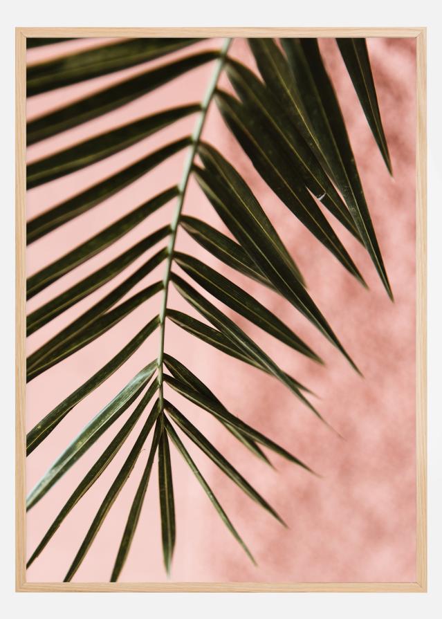 Pink pastell palm Plakāts