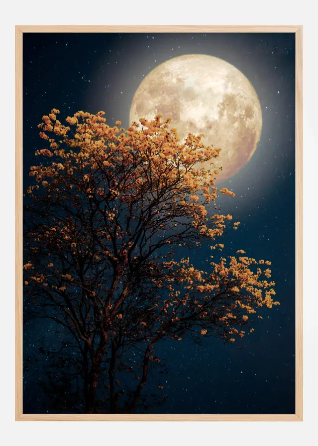 Tree in moonlight Plakāts