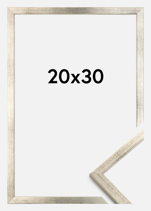 Rāmis Galant Sudrabs 20x30 cm