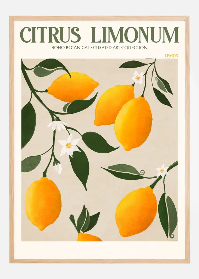 Boho Citrus Limonum Plakāts