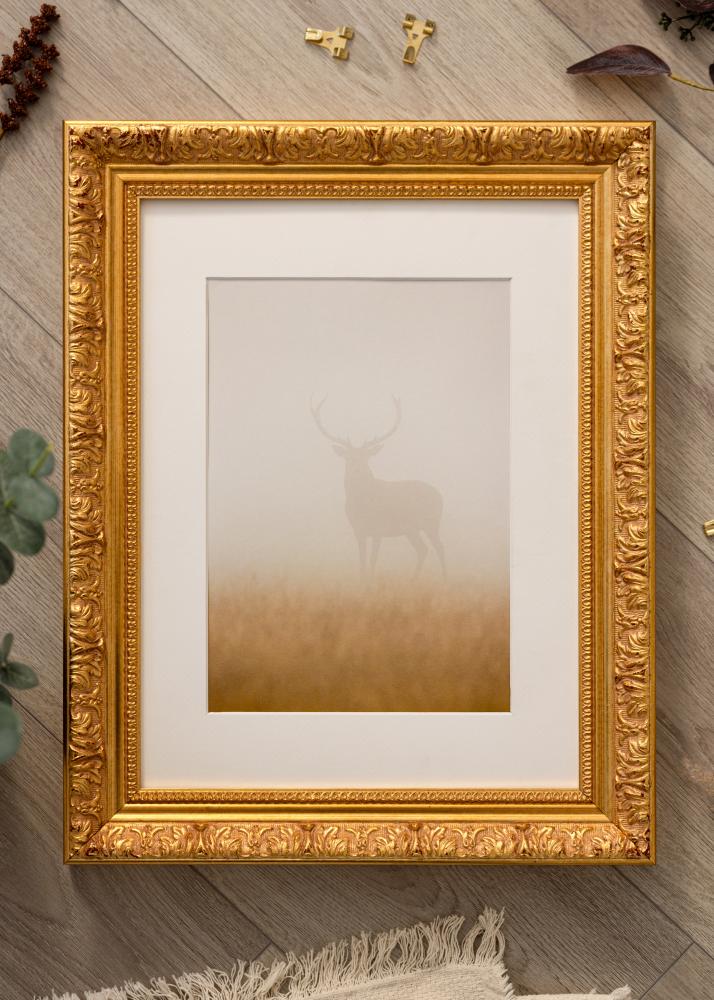 Rāmis Vesta Zelta - Jebkurš izmērs