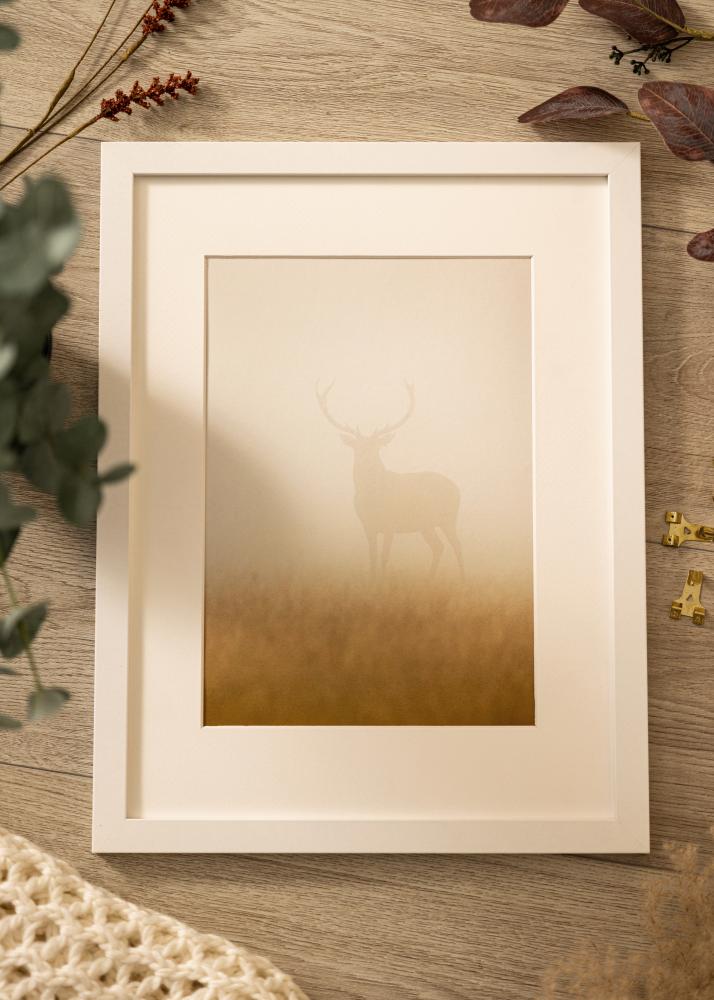 Rāmis Deco Akrila stikls Balts 70x100 cm