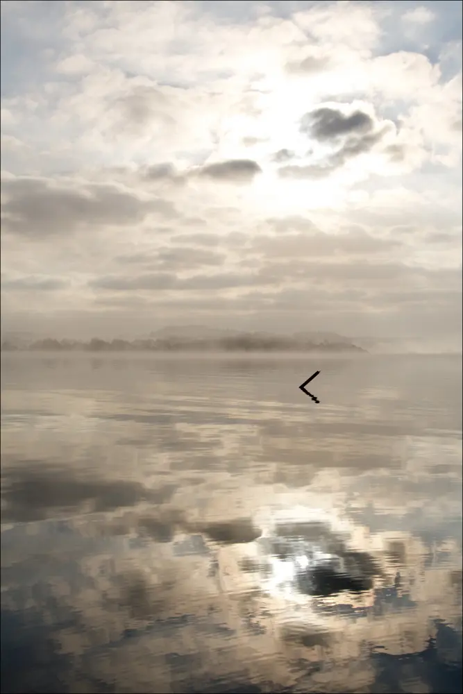 Morning fog Plakāts