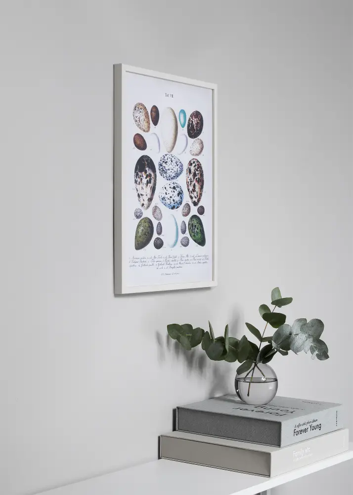 Rāmis Oslo Balts 30x40 cm - Paspartū Melns 21x30 cm