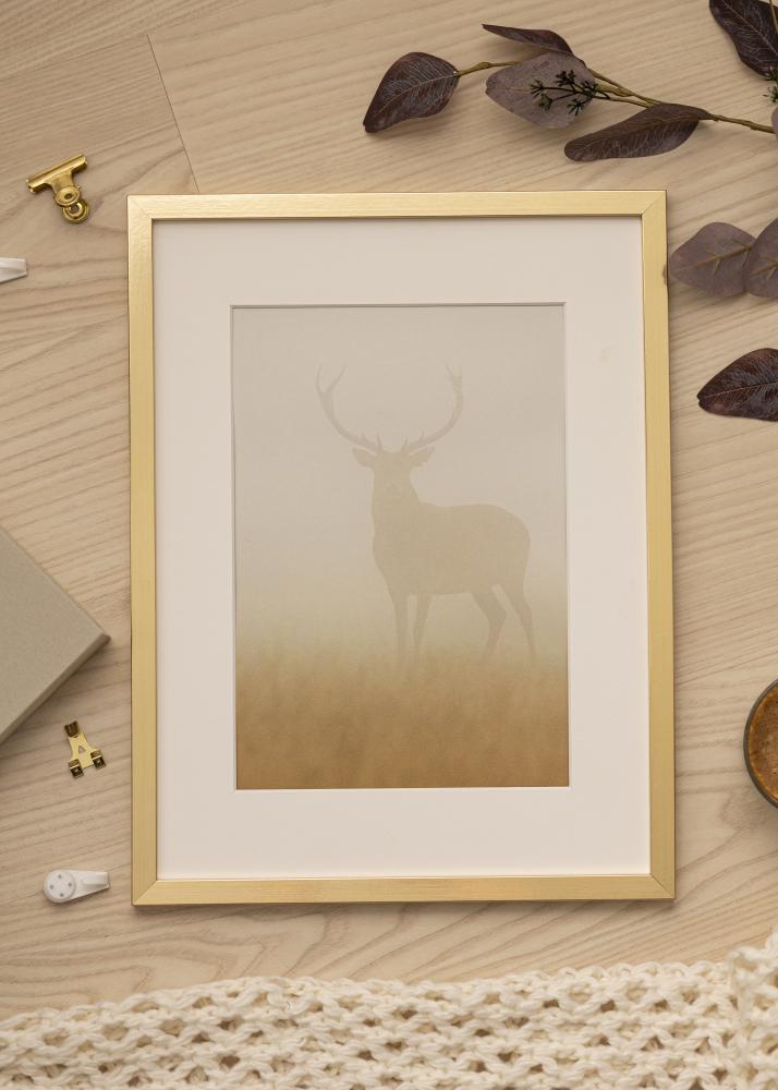 Rāmis Trendy Akrila stikls Zelta 35x50 cm