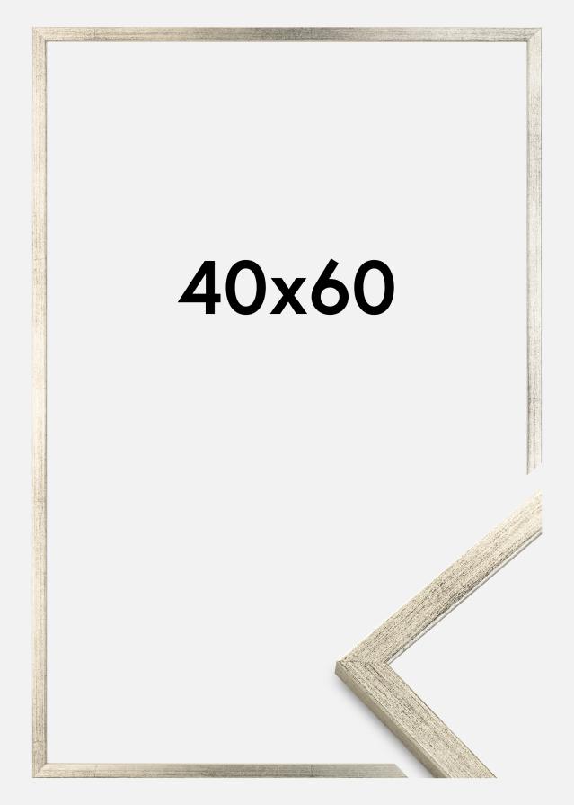 Rāmis Galant Sudrabs 40x60 cm