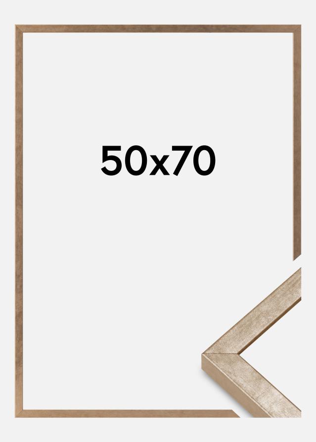 Rāmis Ares Akrila stikls Misiņš 50x70 cm