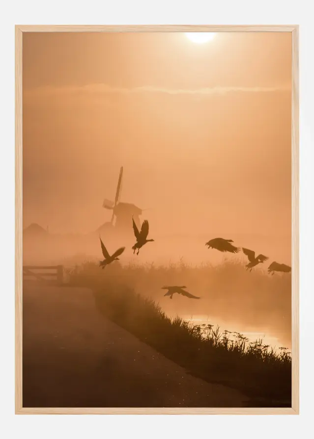 Sunrise Flight Plakāts