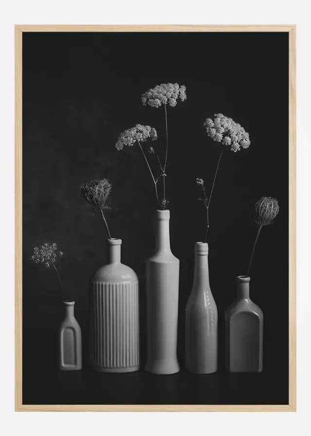 Daucus Carota Plakāts