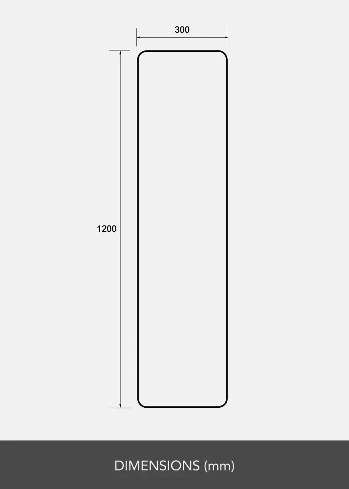 Spogulis Rectangle L 30x120 cm