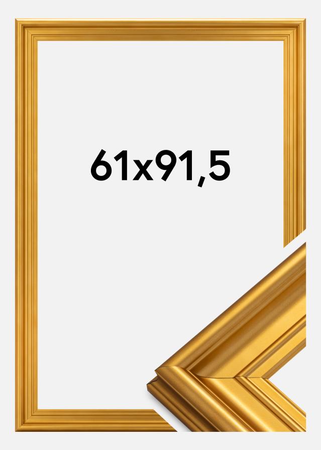 Rāmis Mora Premium Zelta 61x91,5 cm
