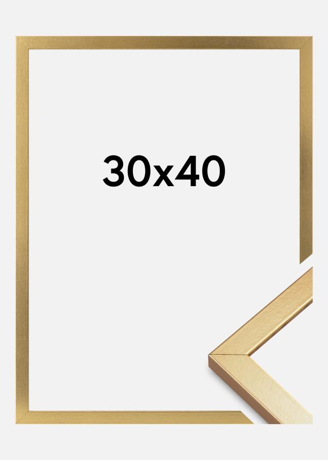 Rāmis Minerva Akrila stikls Zelta 30x40 cm