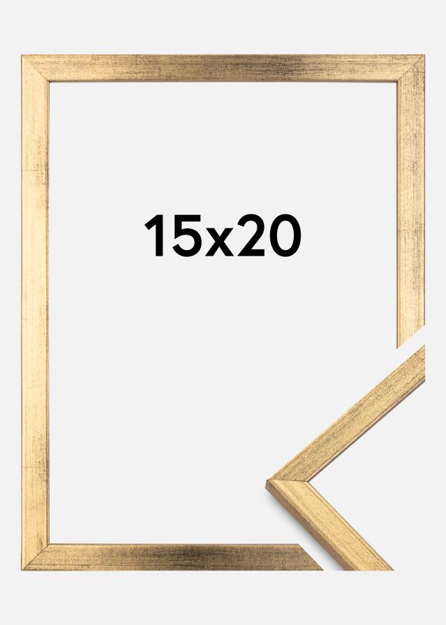 Rāmis Galant Zelta 15x20 cm