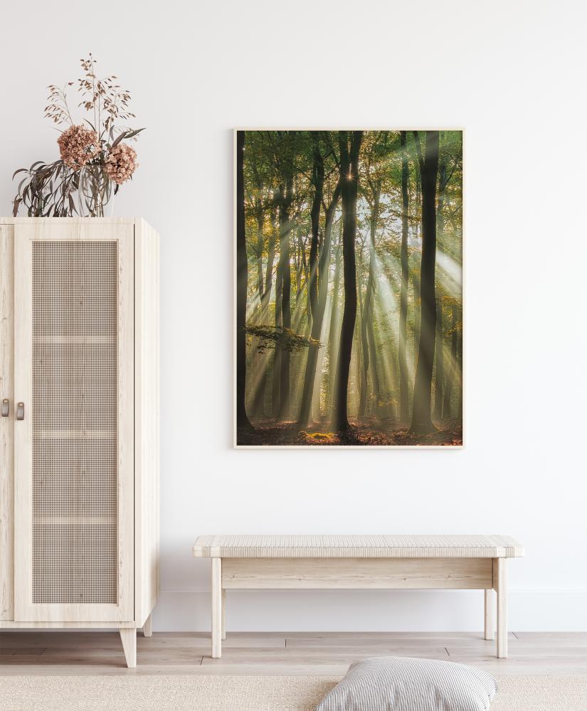 Sunny Start To The Day Plakāts