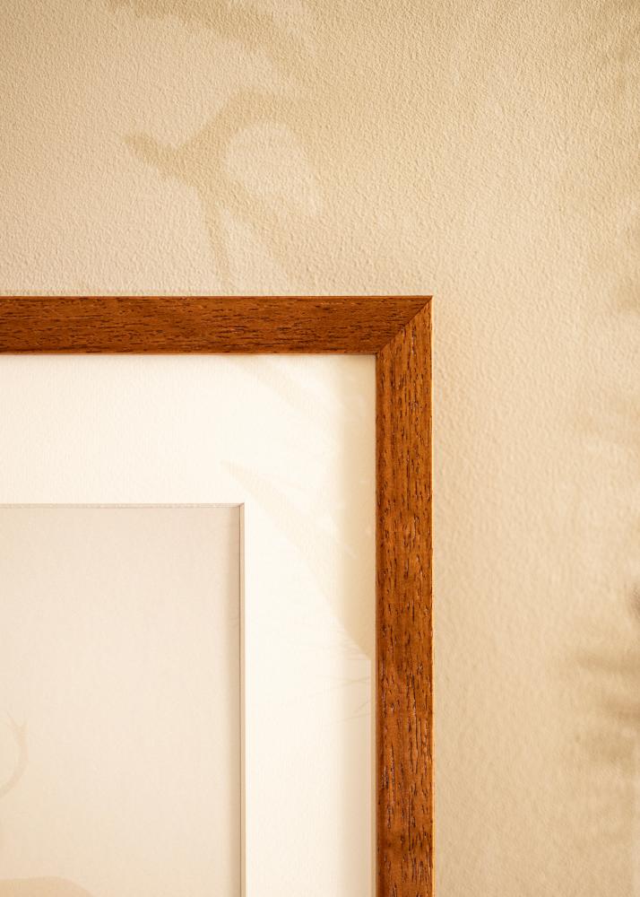 Rāmis Hermes Akrila stikls Dižskābardis 50x60 cm