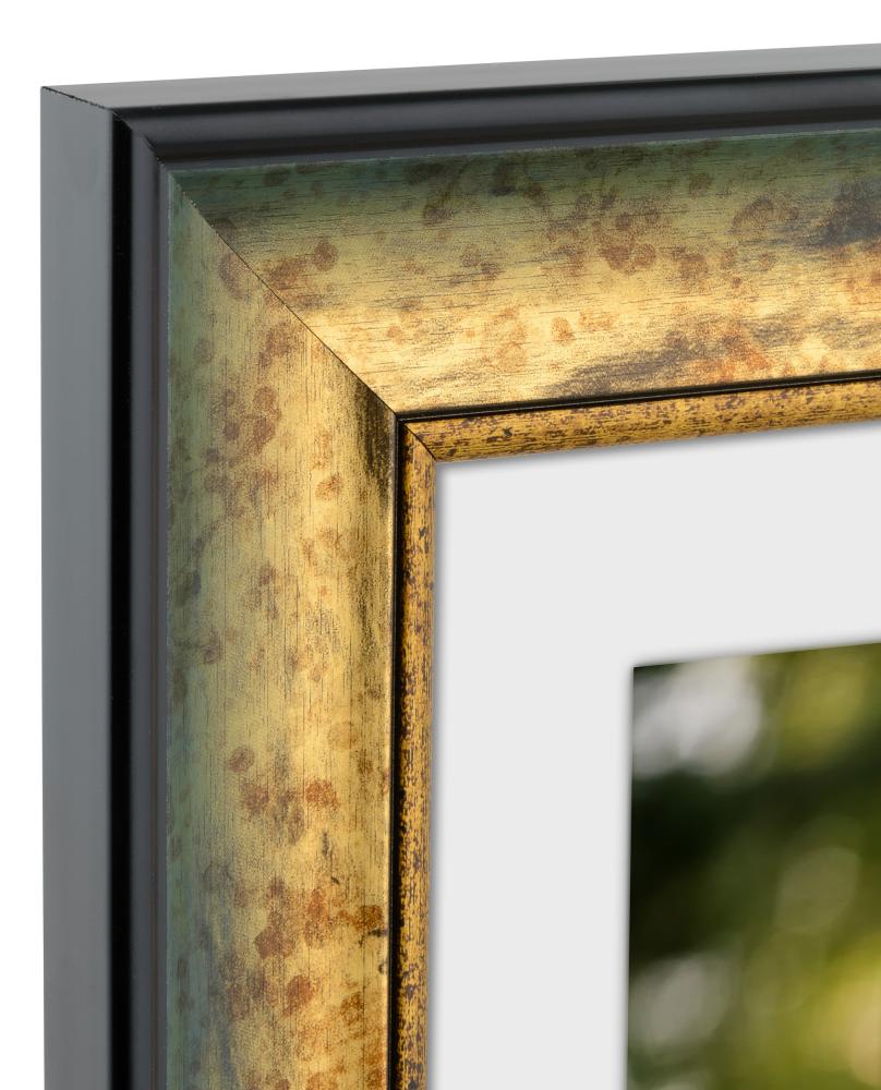 Rāmis Roxen Zelta Raibs - Jebkurš izmērs