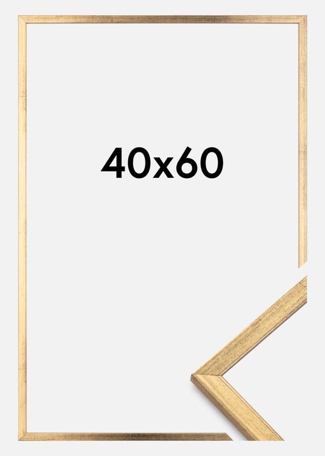 Rāmis Galant Zelta 40x60 cm