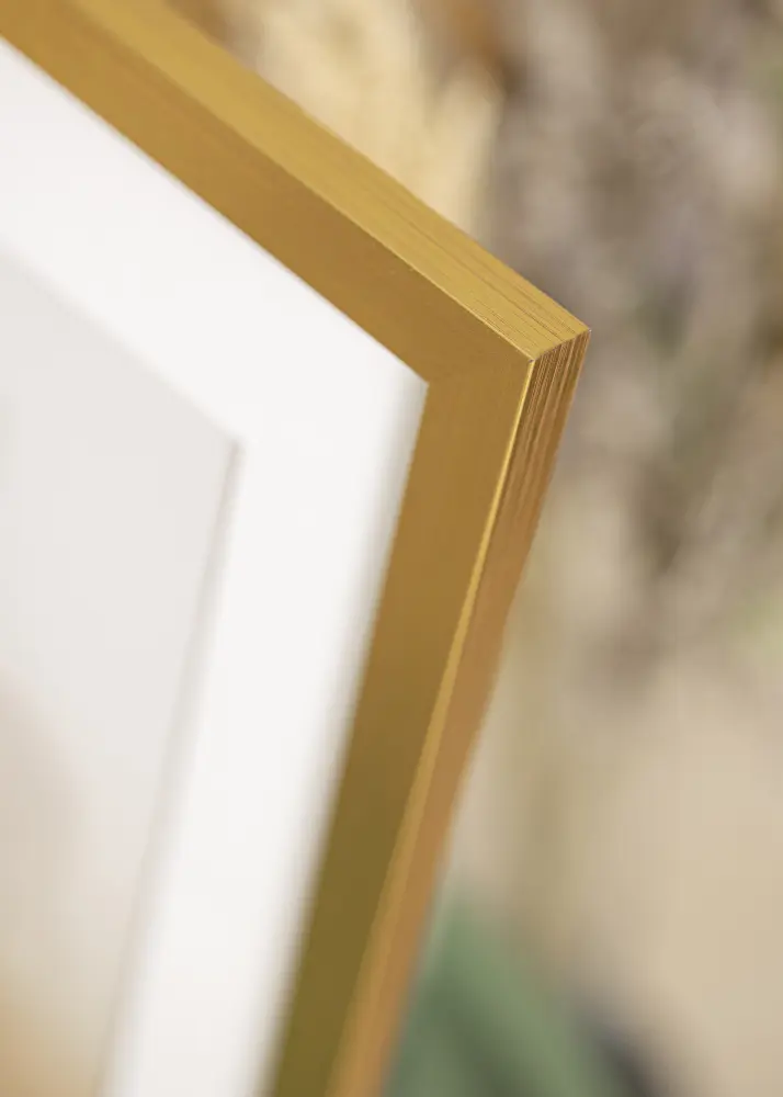 Rāmis Gold Wood 24x30 cm - Paspartū Balts 6x8 inches