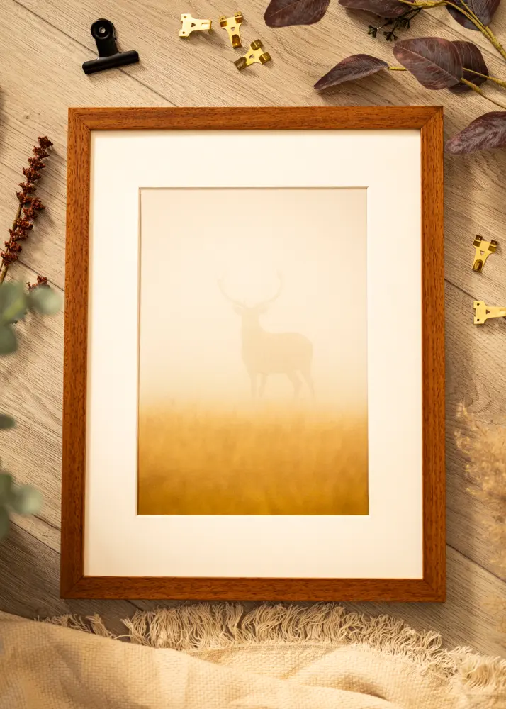Rāmis Hermes Akrila stikls Dižskābardis 20x28 cm