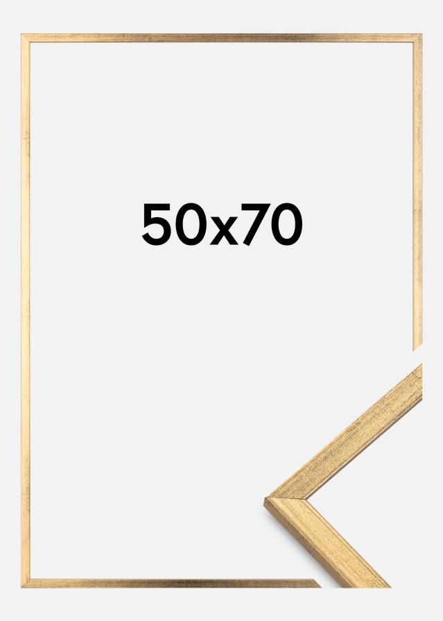 Rāmis Galant Zelta 50x70 cm