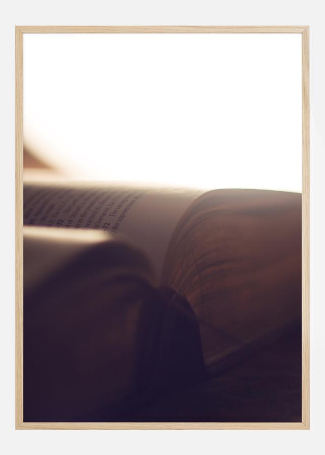 Book Of Light Plakāts