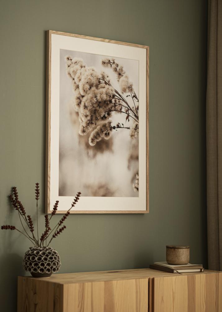 Rāmis E-Line Akrila stikls Ozols 50x50 cm