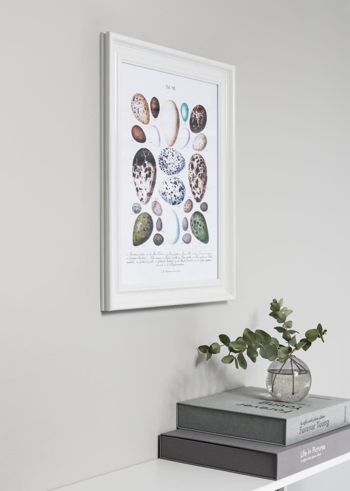 Rāmis Charleston Balts 50x70 cm